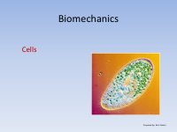 Biomechanics_cell mechanics.pdf